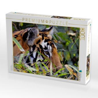 Produktbild: CALVENDO Puzzle Lauernder Tiger | 1000 Teile Lege-Gr&ouml;&szlig;e 64x48cm Foto-Puzzle f&uuml;r gl&uuml;ckliche Stunden