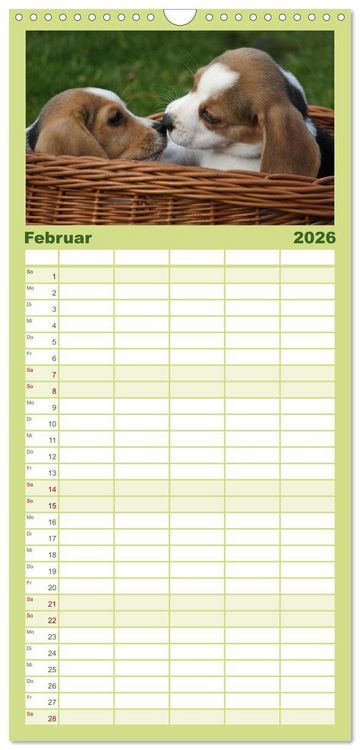 Produktbild: Familienplaner 2026 - Beagle mit 5 Spalten (Wandkalender, 21 x 45 cm) CALVENDO