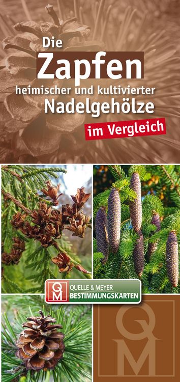 Produktbild: Die Zapfen heimischer und kultivierter Nadelgeh&ouml;lze im Vergleich