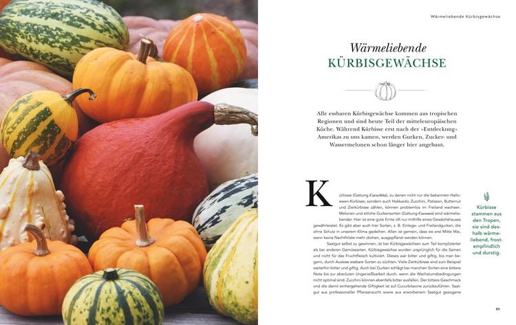 Produktbild: Das gro&szlig;e Garten-Gem&uuml;se-Buch