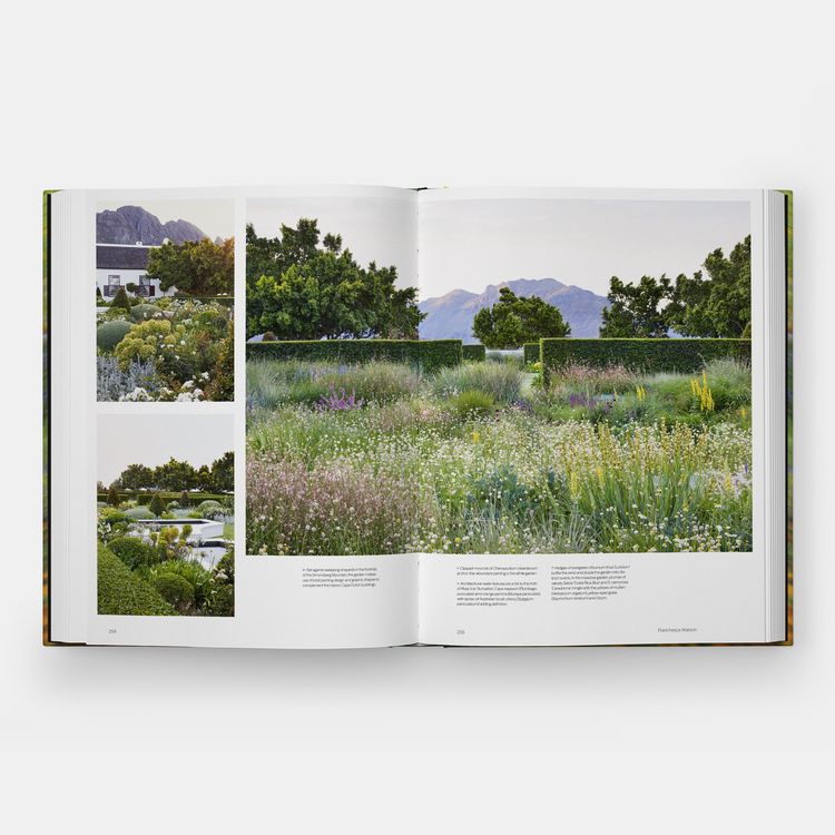 Produktbild: Into the Garden