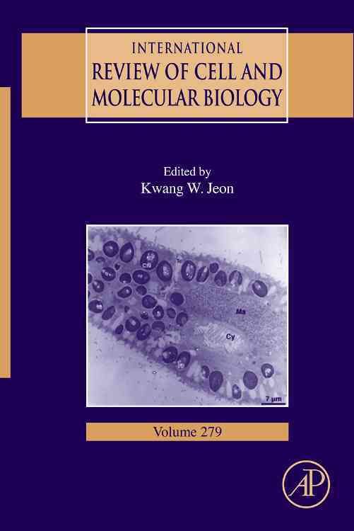 Produktbild: Intl Review Of Cell & Molecula