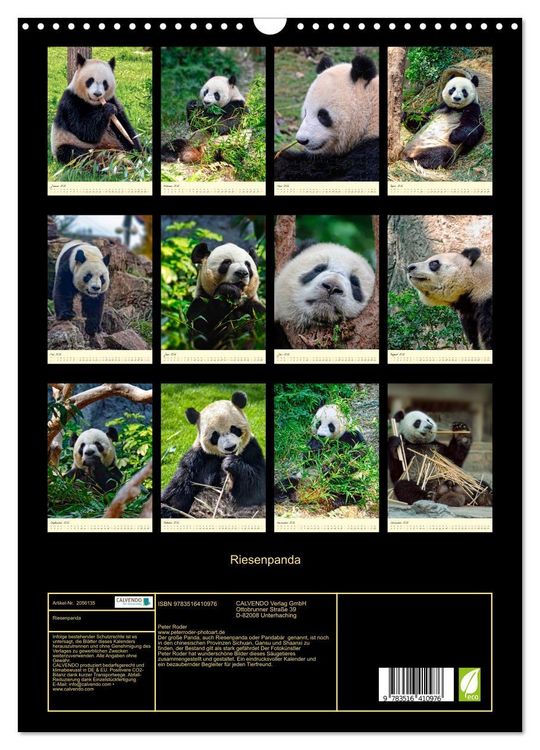 Produktbild: Riesenpanda (Wandkalender 2026 DIN A3 hoch), CALVENDO Monatskalender