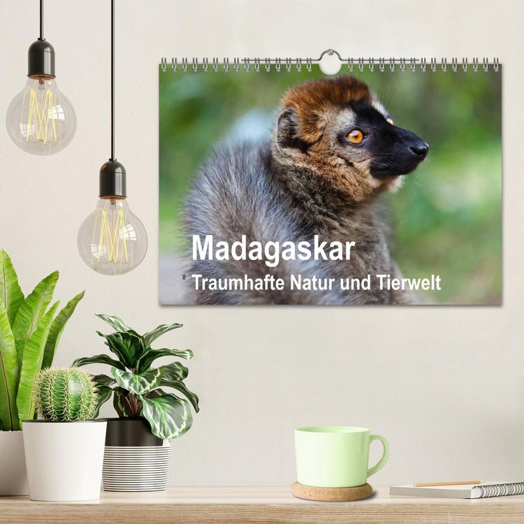 Produktbild: Madagaskar. Traumhafte Natur und Tierwelt (Wandkalender 2026 DIN A4 quer), CALVENDO Monatskalender