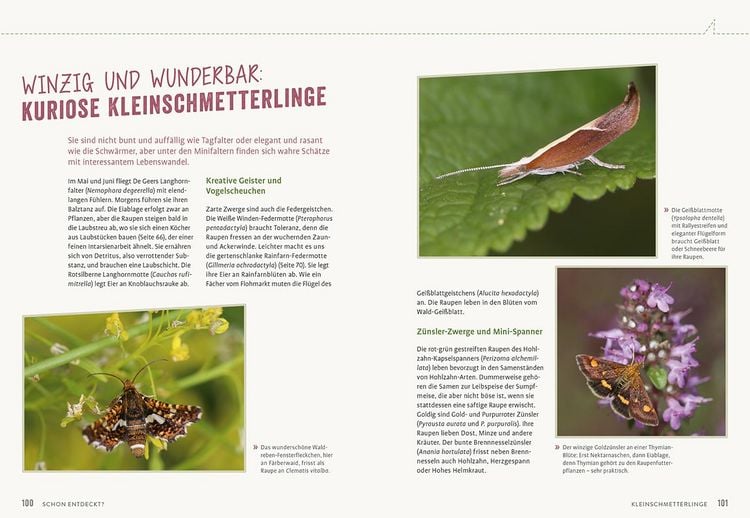 Produktbild: Richtig gute Pflanzen f&uuml;r Insekten