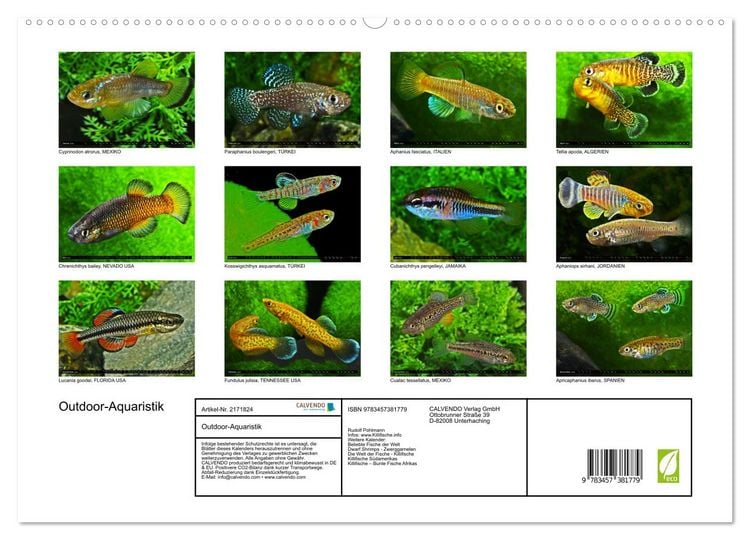 Produktbild: Outdoor-Aquaristik (hochwertiger Premium Wandkalender 2026 DIN A2 quer), Kunstdruck in Hochglanz