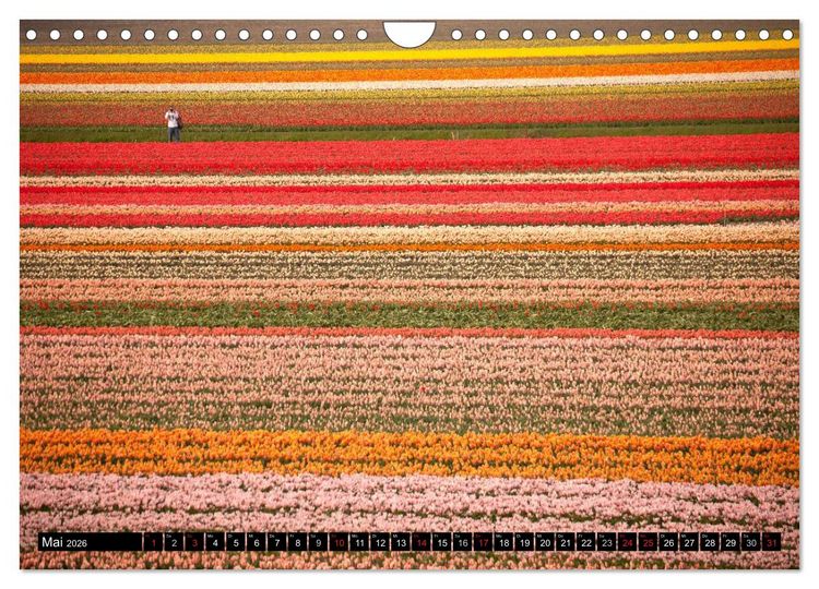 Produktbild: Niederlande &ndash; Un-Typisches aus Holland (Wandkalender 2026 DIN A4 quer), CALVENDO Monatskalender
