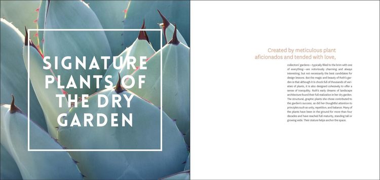 Produktbild: The Bold Dry Garden