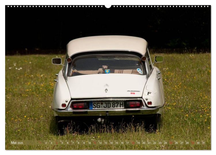 Produktbild: Citro&euml;n DS - G&ouml;ttin in wei&szlig; (hochwertiger Premium Wandkalender 2025 DIN A2 quer), Kunstdruck in Hochglanz
