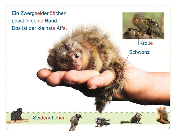 Produktbild: SUPERLESER! Zu Besuch bei den Affen