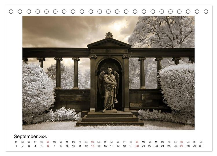 Produktbild: your guardian angel - Dein Schutzengel f&uuml;r jeden Tag (Tischkalender 2026 DIN A5 quer), CALVENDO Monatskalender