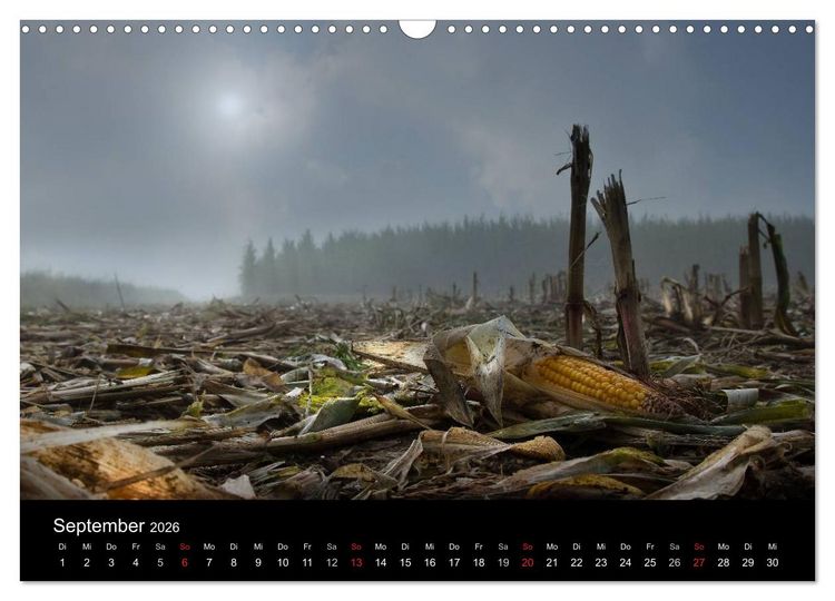 Produktbild: M&auml;rchenkulissen - Landschaften der Oberpfalz (Wandkalender 2026 DIN A3 quer), CALVENDO Monatskalender