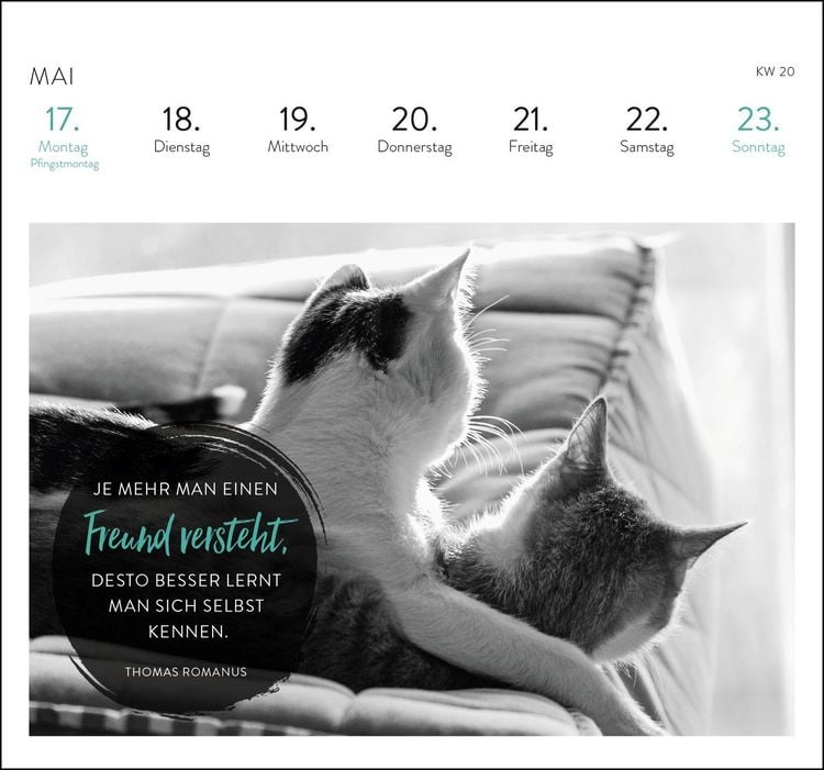 Produktbild: Postkartenkalender 2027: Inspirierende Worte f&uuml;r Katzenfreunde