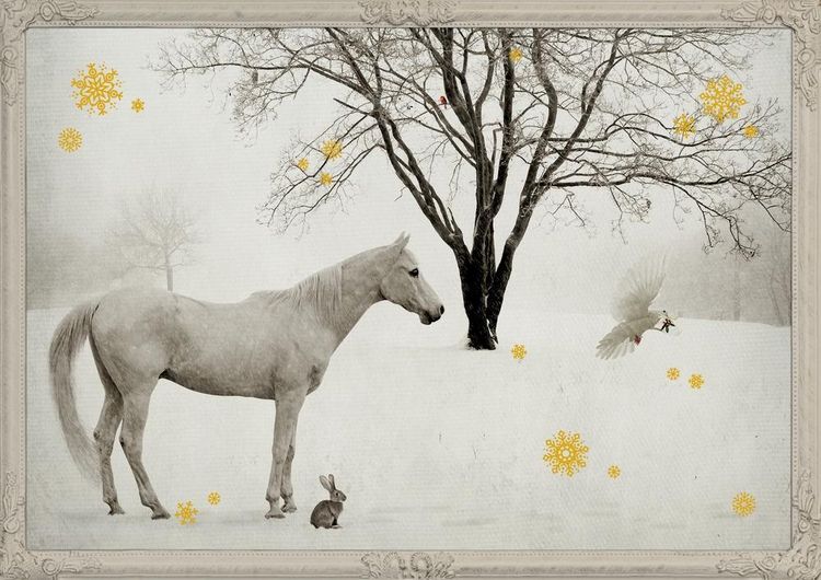 Produktbild: Wand-Adventskalender - Pferd in Schneelandschaft