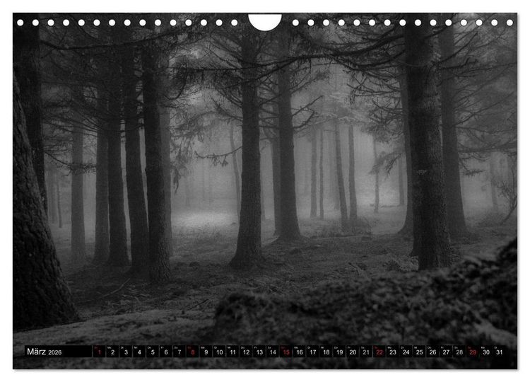 Produktbild: Stille Momente in Schwarz-Weiss (Wandkalender 2026 DIN A4 quer), CALVENDO Monatskalender
