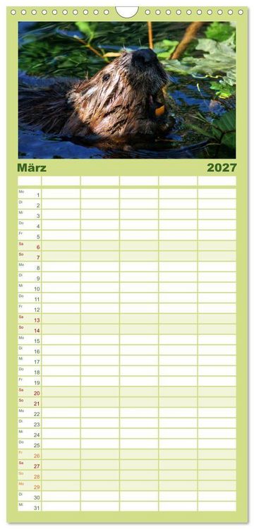 Produktbild: Familienplaner 2027 - Das Leben der Biber mit 5 Spalten (Wandkalender, 21 x 45 cm) CALVENDO