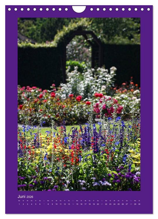 Produktbild: Farbtupferl - Botanischer Garten Augsburg (Wandkalender 2026 DIN A4 hoch), CALVENDO Monatskalender