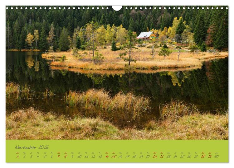 Produktbild: Der Bayerische Wald (Wandkalender 2026 DIN A3 quer), CALVENDO Monatskalender