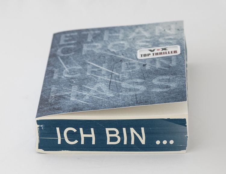 Produktbild: Ich bin der Hass / Francis Ackerman junior Band 5