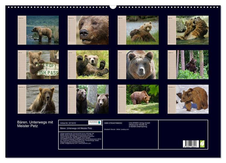 Produktbild: B&auml;ren. Unterwegs mit Meister Petz (Wandkalender 2026 DIN A2 quer), CALVENDO Monatskalender