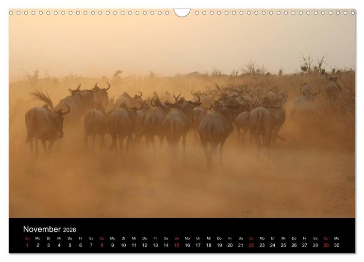 Produktbild: Tansania (Wandkalender 2026 DIN A3 quer), CALVENDO Monatskalender