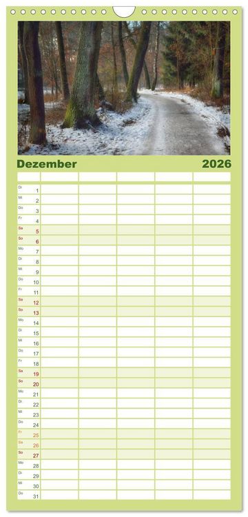Produktbild: Familienplaner 2026 - Waldkalender mit 5 Spalten (Wandkalender, 21 x 45 cm) CALVENDO