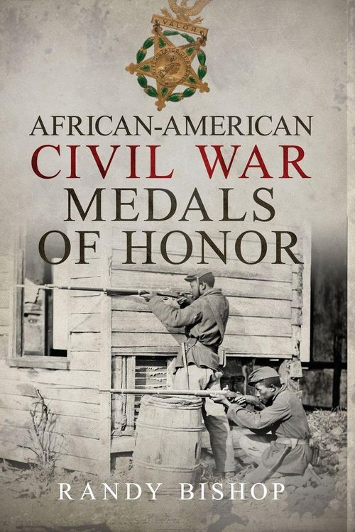 Produktbild: African-American Civil War Medals Of Honor
