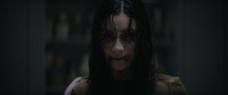 Produktbild: Evil Dead Burn - Steelbook (4K-UHD+Blu-ray)