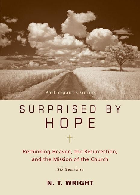 Produktbild: The Surprised by Hope Bible Study Participant's Guide