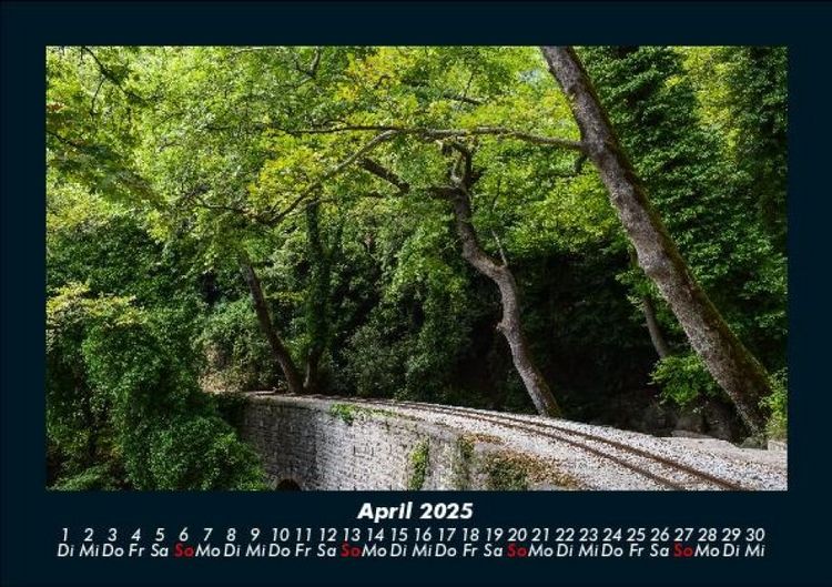 Produktbild: B&auml;ume 2025 Fotokalender DIN A5