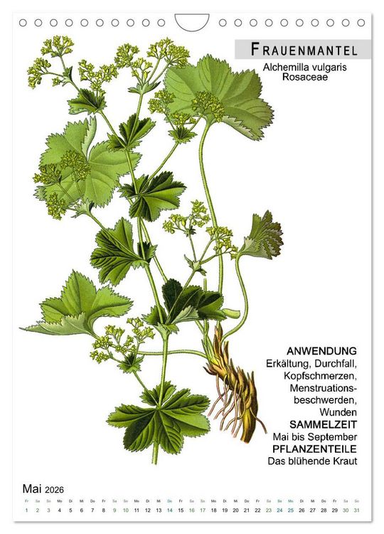 Produktbild: Heilpflanzen (Wandkalender 2026 DIN A4 hoch), CALVENDO Monatskalender