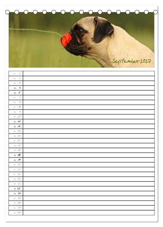 Produktbild: Der mopsige Familienplaner (Tischkalender 2027 DIN A5 hoch), CALVENDO Monatskalender