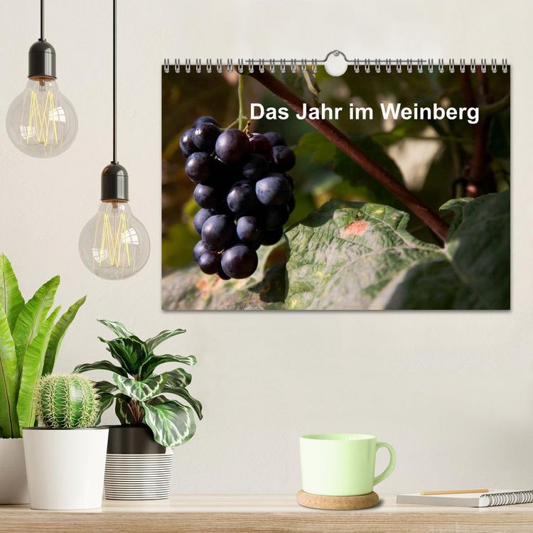 Produktbild: Das Jahr im Weinberg (Wandkalender 2026 DIN A4 quer), CALVENDO Monatskalender