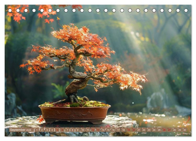 Produktbild: Bonsai meditativ (Tischkalender 2026 DIN A5 quer), CALVENDO Monatskalender
