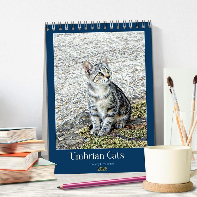 Produktbild: Umbrian Cats (Desk Calendar 2026 DIN A5 portrait), CALVENDO 12 Month DeskCalendar