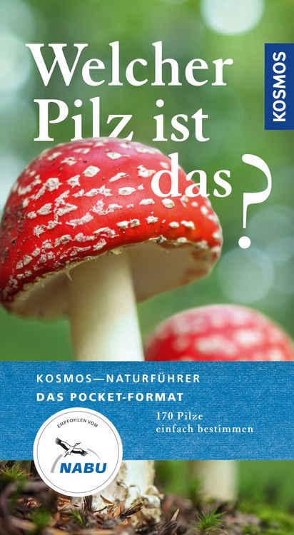 Produktbild: Welcher Pilz ist das?