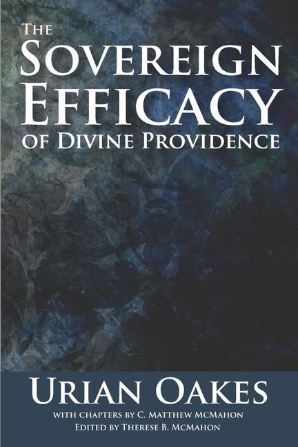 Produktbild: The Sovereign Efficacy of Divine Providence