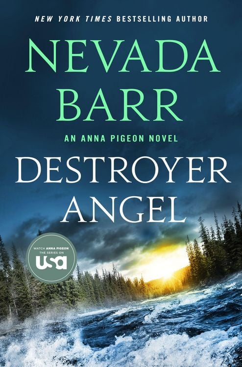 Produktbild: Destroyer Angel