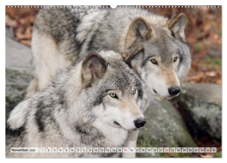 Produktbild: Alaska und Kanada (hochwertiger Premium Wandkalender 2026 DIN A2 quer), Kunstdruck in Hochglanz