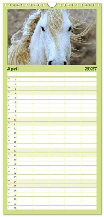 Produktbild: Familienplaner 2027 - Wilde Pferde &bull; Mustangs in USA mit 5 Spalten (Wandkalender, 21 x 45 cm) CALVENDO