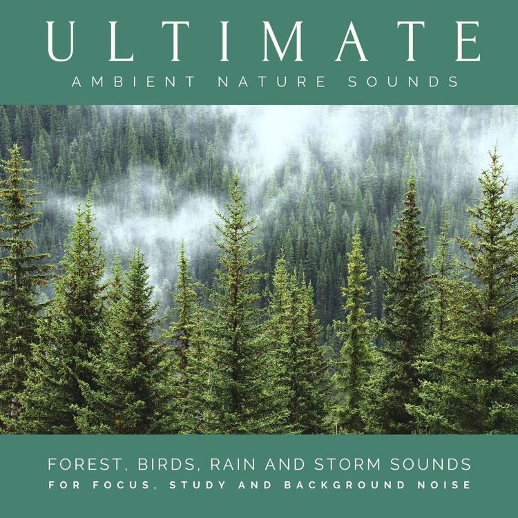 Produktbild: Ultimate Ambient Nature Sounds (XXL Bundle)