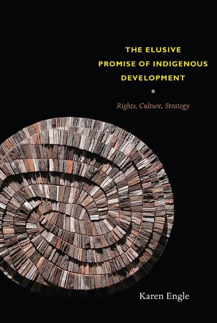 Produktbild: The Elusive Promise of Indigenous Development
