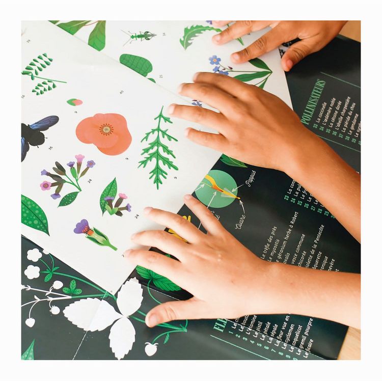 Produktbild: POPPIK - Lernposter & Sticker Botanik