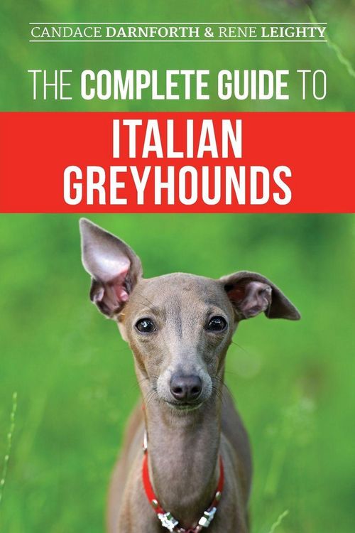 Produktbild: The Complete Guide to Italian Greyhounds