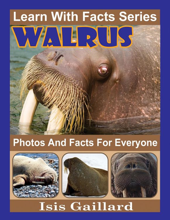 Produktbild: Walrus Photos and Facts for Everyone (Learn With Facts Series, #102)