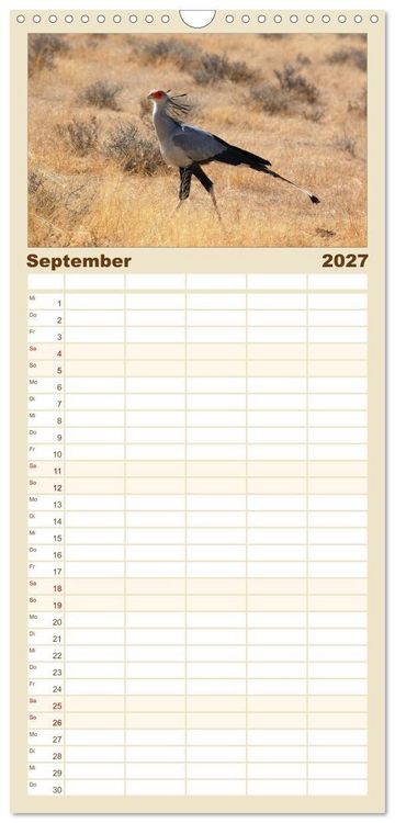 Produktbild: Familienplaner 2027 - Facetten Namibias mit 5 Spalten (Wandkalender, 21 x 45 cm) CALVENDO