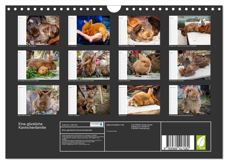 Produktbild: Eine gl&uuml;ckliche Kaninchenfamilie (Wandkalender 2027 DIN A4 quer), CALVENDO Monatskalender