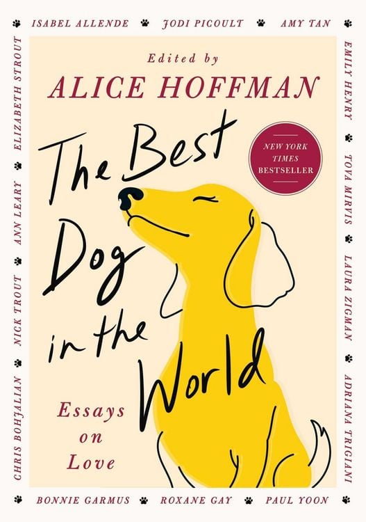 Produktbild: The Best Dog in the World