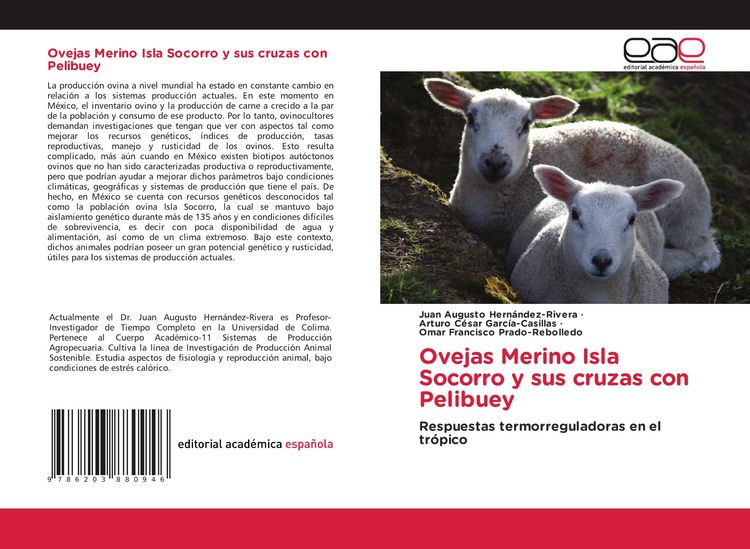 Produktbild: Ovejas Merino Isla Socorro y sus cruzas con Pelibuey