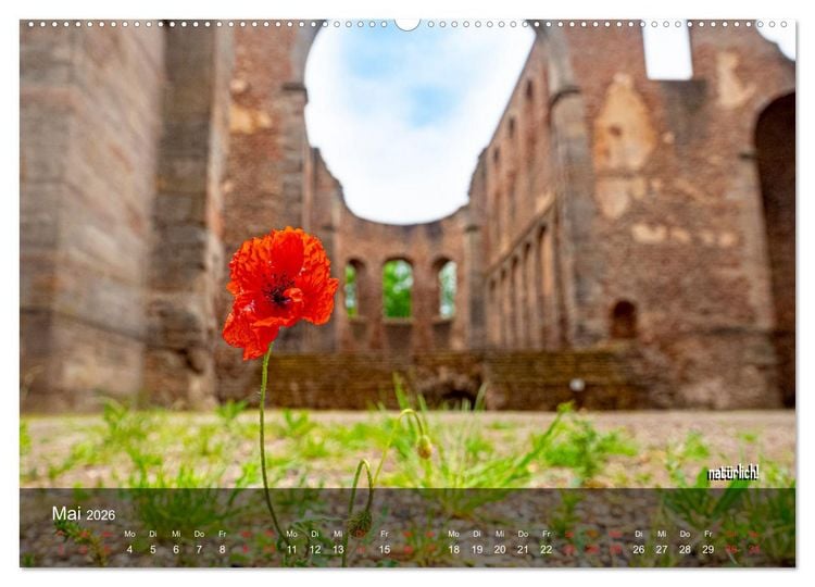 Produktbild: stiftsruine zu bad hersfeld (hochwertiger Premium Wandkalender 2026 DIN A2 quer), Kunstdruck in Hochglanz